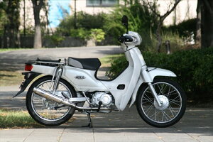 oCNp[c }t[RPM(A[s[G) 80D-RAPTOR Titan CUB110(EBJ-JA10)6037Y4582287243425