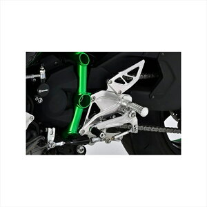 oCNp[c XebvAOX obNXebv312-496-000 4548916705207NINJA H2 15