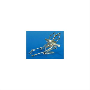 �o�C�N�p�[�cWOODSTOCK(�E�b�h�X�g�b�N) �X�e�b�v�L�b�g WBS-D03-004549950019671DUCATI 1199 PANIGALE