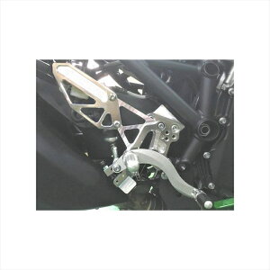 oCNp[cBEET(r[g) nCp[oN Œ莮 SLV 0111-KE6-204582346465447Ninja H2SX /SX SE 18