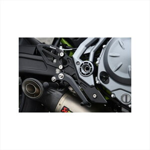 oCNp[cWOODSTOCK(EbhXgbN) obNXebvLbg I[SLV WBS-K39-SL4550255466961Z650/Ninja650 17-19