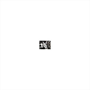 �o�C�N�p�[�c �X�e�b�v�o�g���t�@�N�g���[ �X�e�b�v�z���_�[�Z�b�gBA03-H08-04D 4547424137630CBR1000RR 04-07