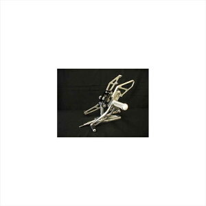 �o�C�N�p�[�cWOODSTOCK(�E�b�h�X�g�b�N) �X�e�b�v�L�b�g 4POS WBS-K06-004547424436641ZRX1100/1200/DAEG