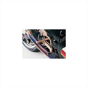�o�C�N�p�[�cBEET(�r�[�g) �n�C�p�[�o���N �Œ莮 SLV 0111-K29-204582346450726ZZR1100/ZX-11 90-92