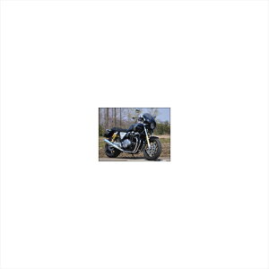 �o�C�N�p�[�c �O���V�b�N�f�U�C�� ���[�h�R���b�g2 G.BLK/�N���A RCB60C-GBK 4549950229186CB1100RS 17