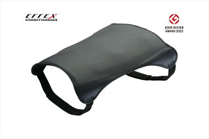 y5OŔzoCNp[cEFFEX(GtFbNX) GEL-ZAB R QUuR EHZ31364548916744503