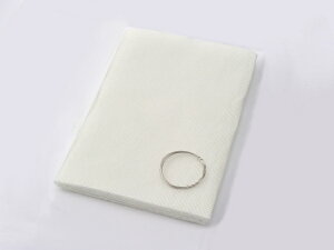 y5OŔzoCNpi eiXDAYTONA fCgi vZE[MTCY 250X70096248 4909449510018