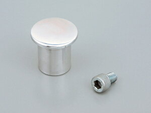 y5OŔz oCNpi ODAYTONA fCgi nh|XgLbv SR400 50097062 4909449516065i