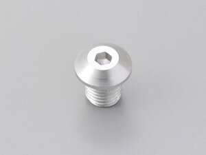 oCNpi nhDAYTONA fCgi ~[AiE{gM10ZClW Vo[99614 4909449543054i