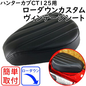 oCNpi[_ETWINTRADE(cCg[h)CT125pJX^V[g BP-B0194 CT125 n^[Ju ubN i