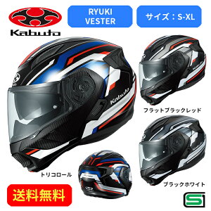 oCNwbgOGK KABUTO(I[W[P[Jug)RYUKI VESTER 2123134X c[O ʋΒʊw   킢