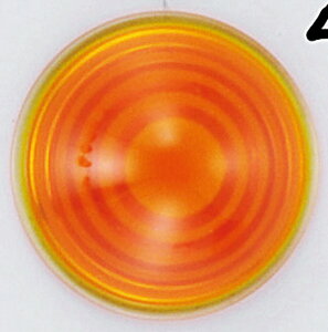 �o�C�N�p�i �d���nKIJIMA �L�W�} �E�C���J�[�����Y �X�^�[���C�g �A���o�[ �K���X 1�P217-4080 4934154270803���i