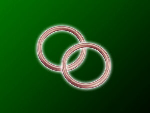 【5日前後で発送】 バイク用品 吸気系 エンジンKITACO キタコ エキゾーストマフラーガスケット XH-19 FORZA FUSION etc.963-1000019 4990852077472取寄品