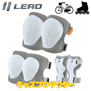 y5OŔzqǂpیLEAD MOTORCYCLE GEAR([hH)LbYveN^[ CA-02G I ]ԗK ֎  O[u XP[^\