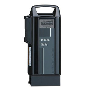 y݌ɗLz }n PASobe[ X0T-82110-20 X0T-82110-00 X0T-82110-01 X0T-82110-02 X0T-82110-21 X0T-82110-23(:X0T-82110-22) pXobe[ `ECIobe[ 12.3Ah