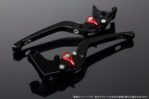 y5OŔzoCNpi nhGXGXPC Xs[h SSKSPEEDRA AWXgo[ 3D| MubN Mbh NINJA1000 17-2018 Z1000 17-18 Z900RSLVDM028BK-RD 4589995206308