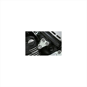 �o�C�N�p�[�c �O���A�O���X �G���W���n���K�[ �t�����g GLD 356-400-000G 4549950758945Z900RS 18