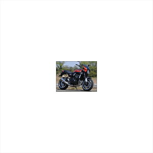 �o�C�N�p�[�c �O���V�b�N�f�U�C�� ���[�h�R���b�g CTBR/C�I�����W/�X���[�NRC99-BR/OR/2 4549950781059Z900RS 18-