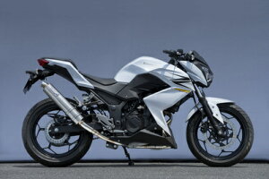 oCNpi }t[}g[VO }g.R Xe XbvI `^TCT[ Z250 13-40253-01NTB 4521717301007