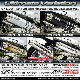 バイク用品 マフラーウイルズウィン WirusWin アルティメットマフラー ポッパー チタン SKYWAVE250(CJ44 45 46)312-28-13 4547567885825取寄品 セール