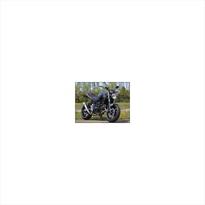 �o�C�N�p�[�c �n���h���V�b�N�f�U�C�� �K�C���K���g���b�g �N���A GG49B 4549950539605SV650 16-