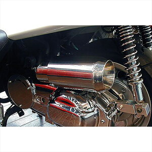 oCNp[c ECYEB GAN[i[/WFbgPJo[Zbg114-01-63 4547567702733MAJESTY250(4HC)