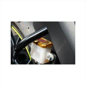 oCNp[c AOX A}X^[Lbv GLD 325-310-000G 4550255546717WNT[SF250