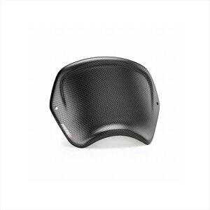 �o�C�N�p�[�c �O���v�[�` �t�����g�p�l�� ABS �J�[�{���v�����g9768C 4571414954600CB1000R 18-20/CB650R 19-21�EABS����