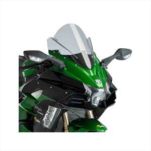 oCNp[c Ov[` XN[ [VO X[N 9704H 4550255010133Ninja H2SX/SE 18