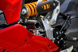 O xr[tFCX xr[tFCX GWXC_[ DUCATI Panigale V2 20 006-SD016 4589981473561 i