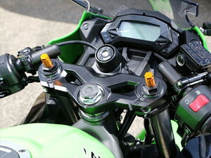 xr[tFCX xr[tFCX tgtH[NgbvLbv Vo[ Ninja250SL 15- 005-K0012SV 4589981513182 i