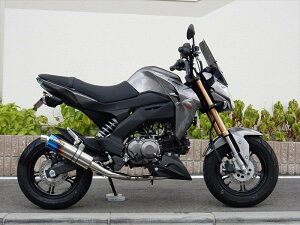 }t[ _uA[Y WR`S tEX V[gI[o ĂF^Cv Z125 PRO (2BJ-BR125H) LS4110JM 4549950008798 i