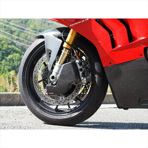 �o�C�N�p�[�c �O���}�W�J�����[�V���O �L�����p�[�N�[�����O�_�N�g FRP ��D01-V4R19-9801 4550255904128DUCATI Panigale V4R 19-