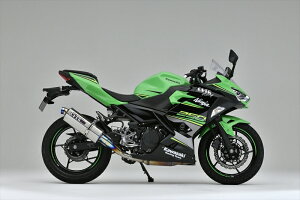 oCNp[c }t[I[@[[VO TT-Formula t`^ S/O17-693-03 4539770117244Ninja250 18-22