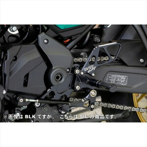 �o�C�N�p�[�c �X�e�b�v�I�[���@�[���[�V���O �o�b�N�X�e�b�v 4P SIL51-80-01 4539770123122Z650RS 22-23