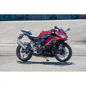 oCNp[c }t[I[@[[VO TT-Formula RS+PRO S/O17-861-12 4539770126802ZX-25R/SE(23-)/ZX-4R/RR(23-)