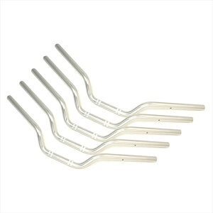 �o�C�N�p�[�cEFFEX(�G�t�F�b�N�X) �C�[�W�[�t�B�b�g�o�[Low �V���o�[ EBL301S-5SET4550255975937XJR1300 00-06 (5�{�Z�b�g�i)