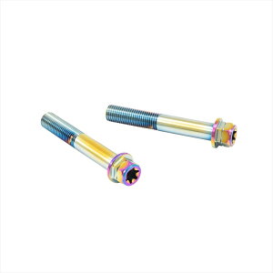 y5OŔzoCNp[c vgu{ XeXLp[}Eg{g `^FCMBF-065T 455025569013765mm tWZp M10/P1.25 wNTr2{