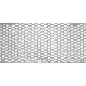 oCNp[c pnA[AhW[ PRP Oil Cooler Guards:TITANIUM COLORRG-OCG0057PROTI 4580779594864YZF-R1(15-24) YZF-R1M(15-24)