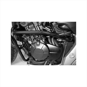 oCNp[cHEPCO&BECKER(wvRAhxbJ[) GWK[h ubN 501965 00 014548664791101Hornet600 07-15