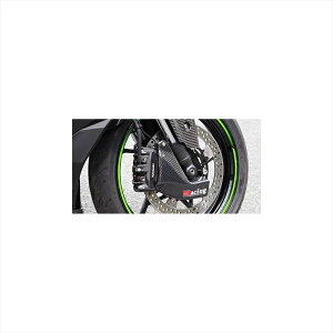 �o�C�N�p�[�c �O���}�W�J�����[�V���O �L�����p�[�N�[�����O�_�N�gFRP��001-ZX252-9801 4550255610340Ninja ZX-25R 20