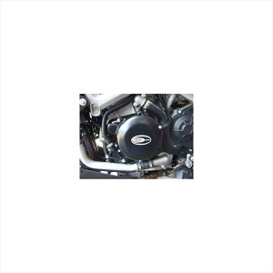 oCNp[c A[AhW[ GWP[XJo[ RG-ECC0090BK 4571381459559APRILIA RSV4/FACTORY 09-15ETUONO V4 11-15