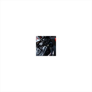 oCNp[c OA[AhW[ GANbVveN^[ BLKRG-CP0506BL 4580041251617MV AGUSTA Brutale1000RR/Oro 20-