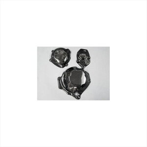 バイクパーツ エーテック EG-GUARDセット クリア塗装 DCK 9KA01255-CK 4524446073610Ninja1000 11-16