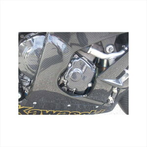 oCNp[c G[ebN X^[^[Jo[ DC 9KA01225-RC 4524446065295ZX-10R 11- RCp