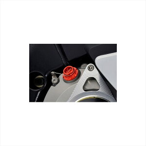 �o�C�N�p�[�c �O���A�O���X �I�C���t�B���L���b�v M24XP2.0 RED 454-024-200R 4548664699582BMW S1000RR -11