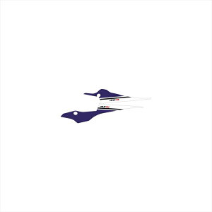 oCNp[c ANZT[GfB[Gt Xg{A_[JESBUM19R30-D-SBU-UN 4580394185195YZF-R3 19-24