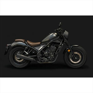 oCNp[cTRICK STAR(gbNX^[) {FS/O JSS-119-MH4573269966852Rebel250 17-22