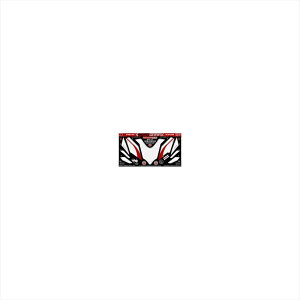 �o�C�N�p�[�c �A�N�Z�T���[���g�O���t�B�b�N�X �{�f�B�[�p�b�h FRONT WS MT-ND018WS 4580041223201Supersport939 16/17