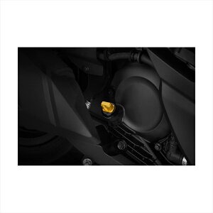 oCNp[cBIKERS(oCJ[Y) ICtB[Lbv CgS[h H0545-LGD4550255815554FORZA 18-20